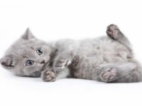 /album/fotogaleria/macicka-jpg/