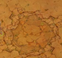 /album/fotogaleria/a20130603-2-melinka-jpg/